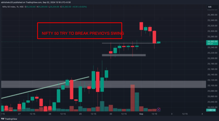 Nifty 50 Index Holds Ground Despite Market Volatility on September 2 2024