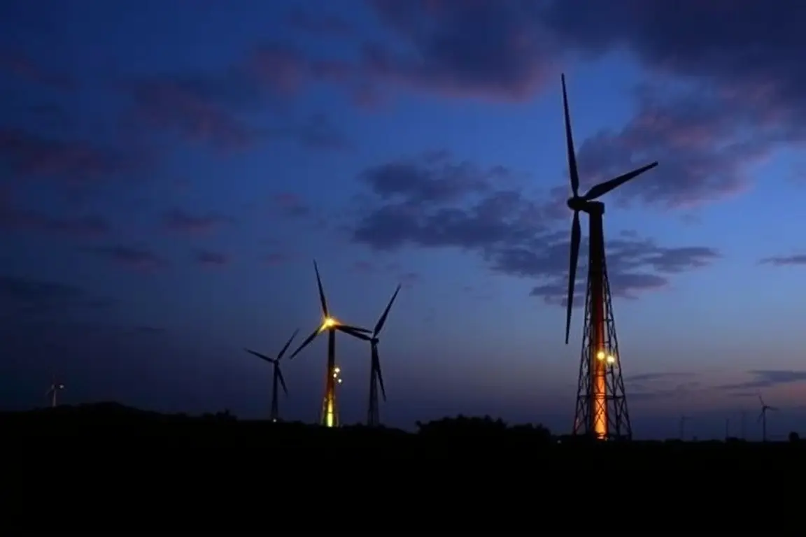 Suzlon Energy Ltd: Future Share Price Forecast and Key Financial Data