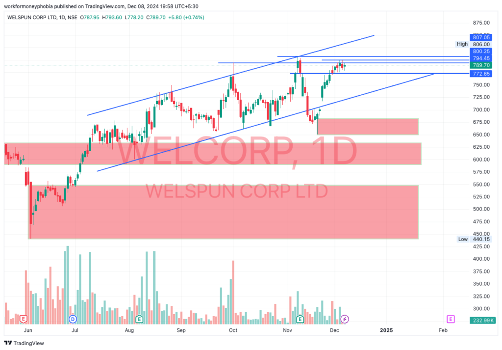 WELCORP Share Analysis