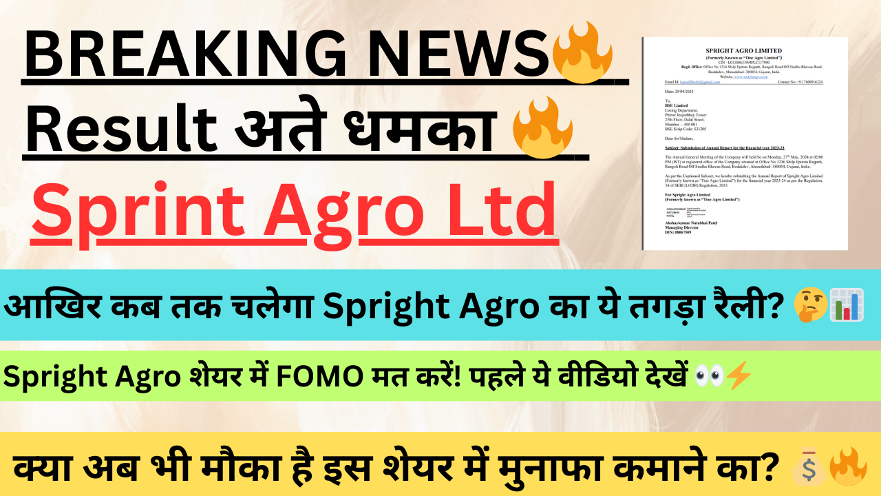 Spright Agro Share Price Analysis: Boom and Crash in the Market?